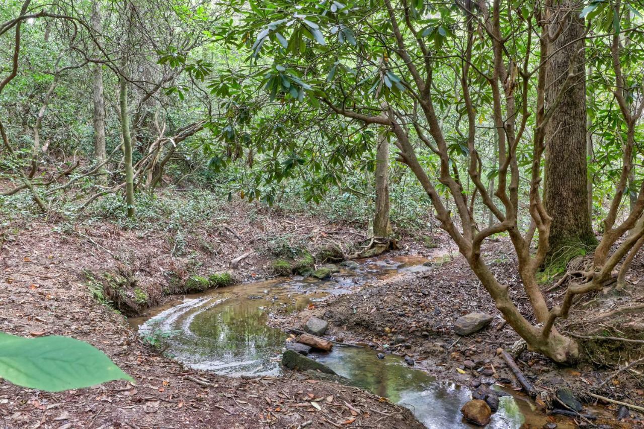 Four Cubs In The Creek Villa Sautee Nacoochee Eksteriør bilde